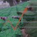 el-costo-de-las-redadas-en-la-economia-de-estados-unidos.jpg