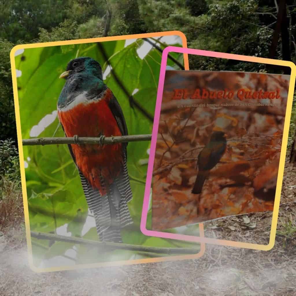 libro el abuelo quetzal
