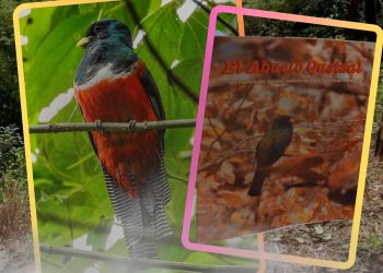 libro el abuelo quetzal – SoyMigrante.com REVISTA libro el abuelo quetzal