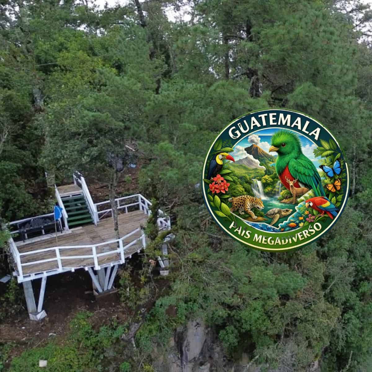 Admira, respira y disfruta el bosque ancestral del parque comunitario Kyaq K’ix en Totonicapán