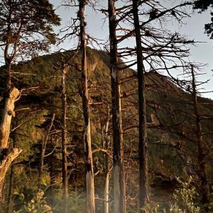 volcanes de Guatemala volcan Pecul o Santo Tomas fotos google 4