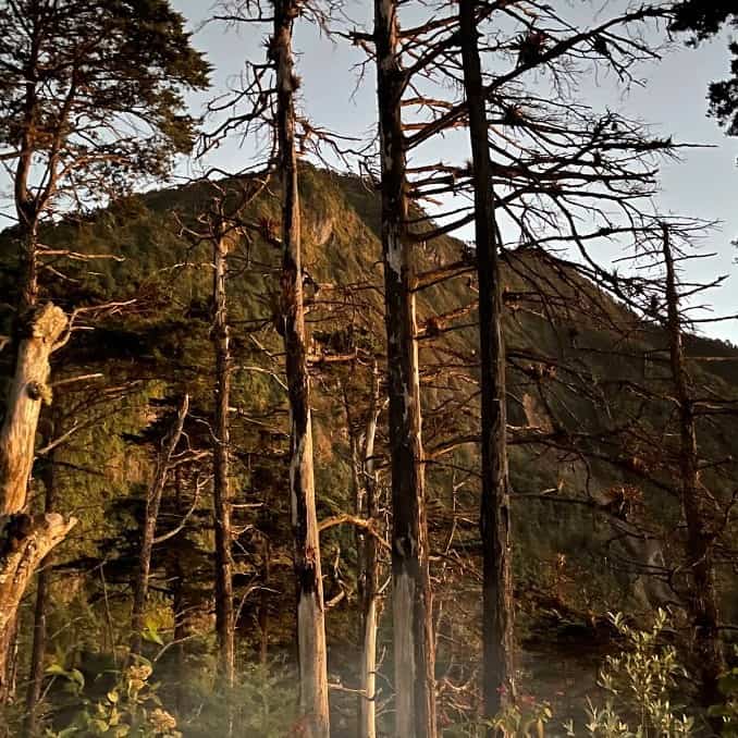 Volcán Santo Tomás o Pecul es un cumbre desde la cual se ven otros volcanes