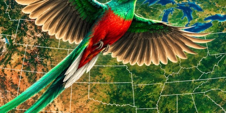 guatemaltecos en estados unidos quetzal – SoyMigrante.com REVISTA guatemaltecos en estados unidos quetzal