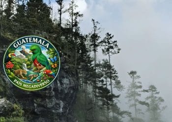 reserva natural todos santos cuchumatan 1