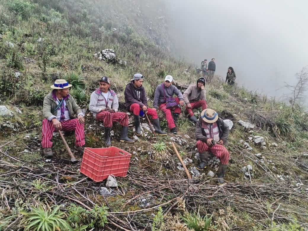 Los comunitarios de Todos Santos Cuchumatán cuidan esta reserva como un tesoro local y cultural. Efectúan constantes jornadas de reforestación. (Foto Conap)