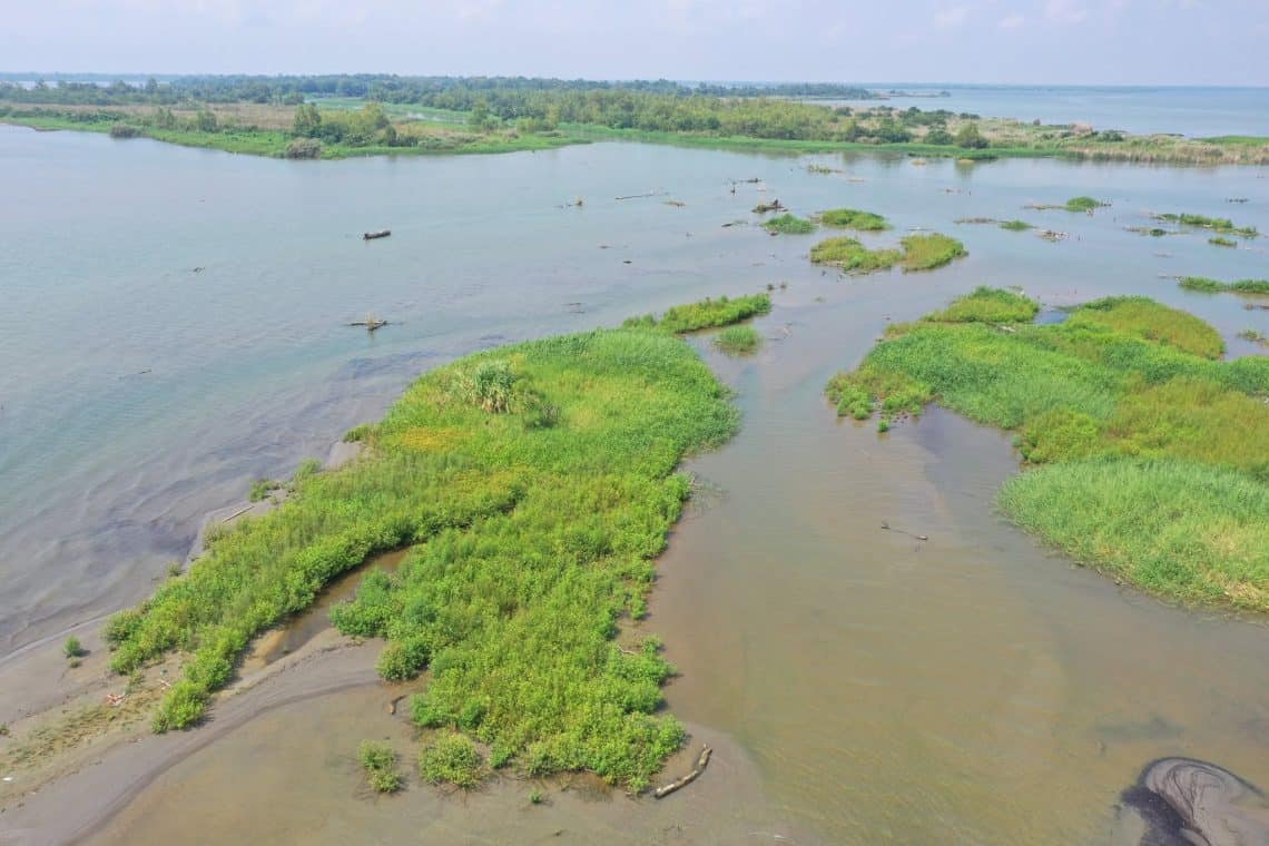 Por su misma calidad de conservación natural, en la Reserva Bocas del Polochic no existen mayores instalaciones para visitantes, por lo que cualquier posible visita es recomendable coordinar y planificar con suficiente anticipación. – SoyMigrante.com REVISTA – SoyMigrante.com REVISTA Por su misma calidad de conservación natural, en la Reserva Bocas del Polochic no existen mayores instalaciones para visitantes, por lo que cualquier posible visita es recomendable coordinar y planificar con suficiente anticipación.