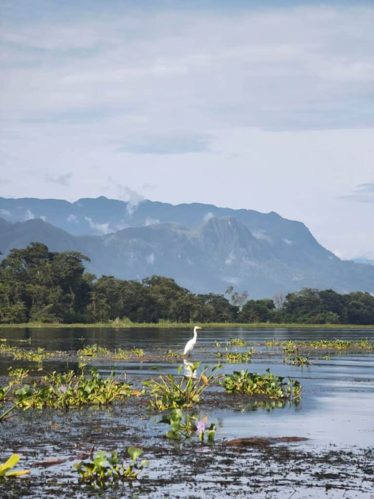 Esta es un área de alta conservación ambiental y prácticamente no hay facilidades turísticas: por eso un eventual recorrido debe coordinarse previamente bajo la guía de Defensores de la Naturaleza, operadores turísticos con experiencia y las comunidades locales. (Foto Defensores de la Naturaleza) – SoyMigrante.com REVISTA – SoyMigrante.com REVISTA Esta es un área de alta conservación ambiental y prácticamente no hay facilidades turísticas: por eso un eventual recorrido debe coordinarse previamente bajo la guía de Defensores de la Naturaleza, operadores turísticos con experiencia y las comunidades locales. (Foto Defensores de la Naturaleza)