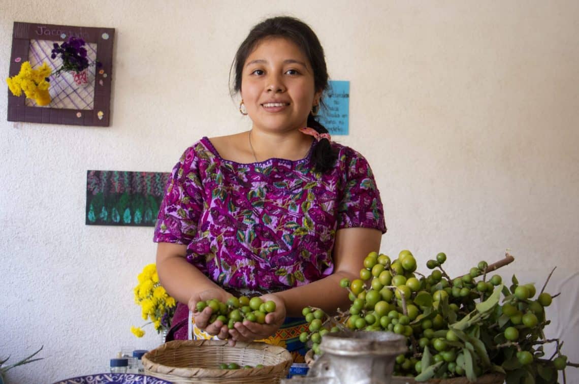 El fruto de la planta popularmente llamada jaboncillo es uno de los insumos naturales esenciales de los productos de 100% Orgánico. Búscalo en MERCADO.