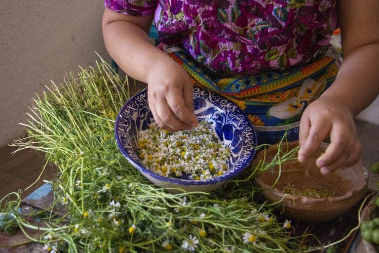 Person in a colorful outfit mixes edible flowers and herbs in a blue patterned bowl on a wooden table.