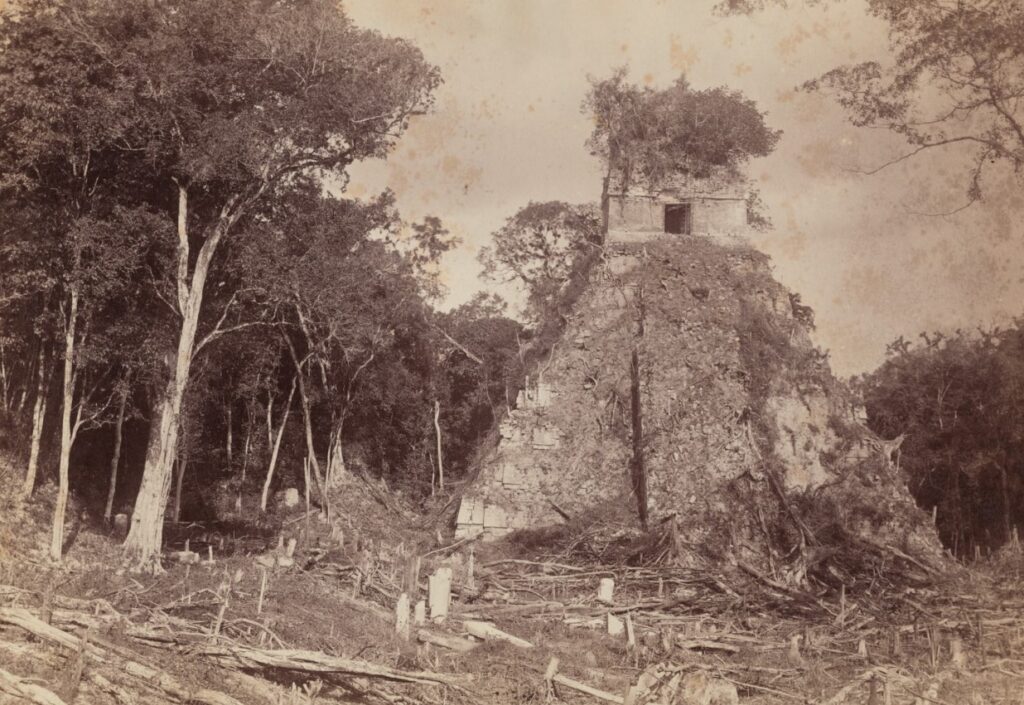 Tikal fue descubierta en 1858 y entre las primeras fotografías de sus pirámides están las de Alfred Percival Maudslay, en 1882.