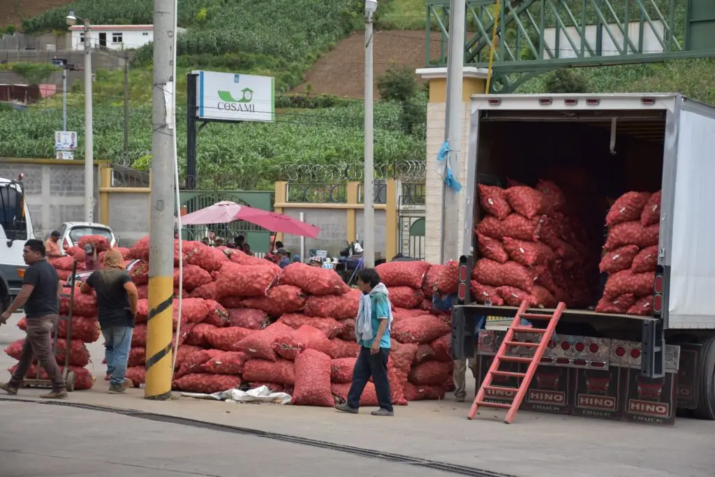 35 mil productores al año sostienen la economía local en la venta y exportación de hortalizas principalmente la papa.