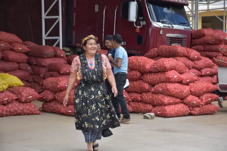 Camina entre los costales de papa, el respeto y la autoridad características de doña Paulina