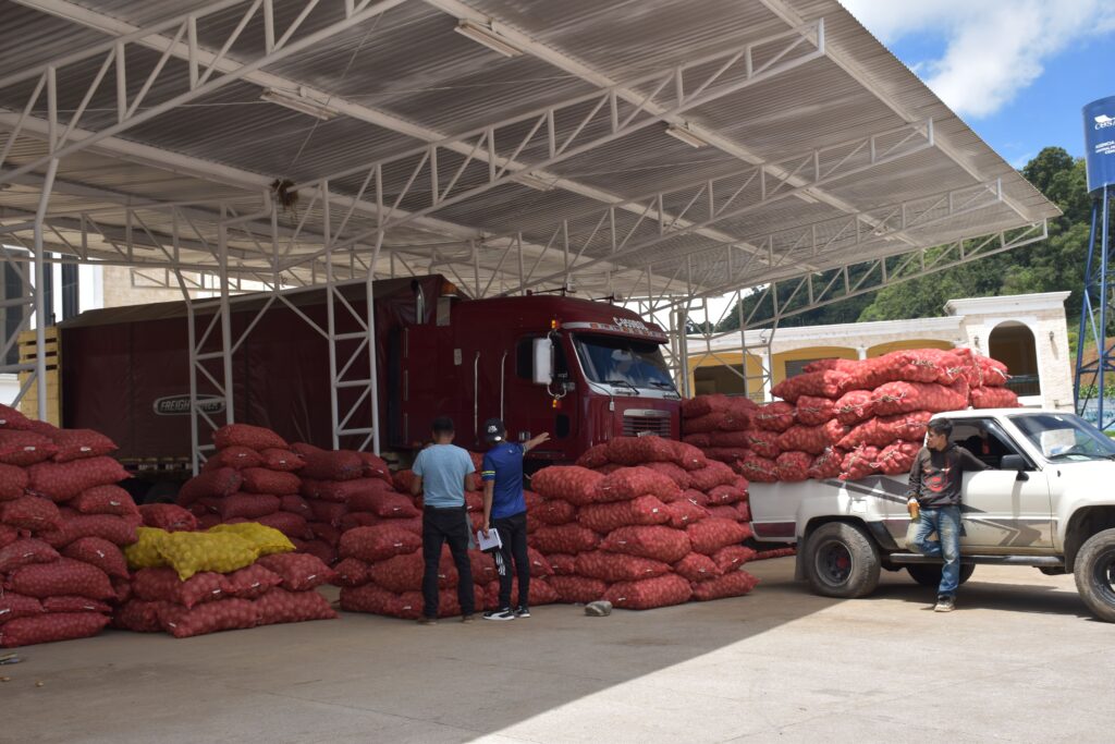 Camiones y furgones llegan al centro de mayoreo los productores agrícolas llegan entre las 8 a 10 de la mañana