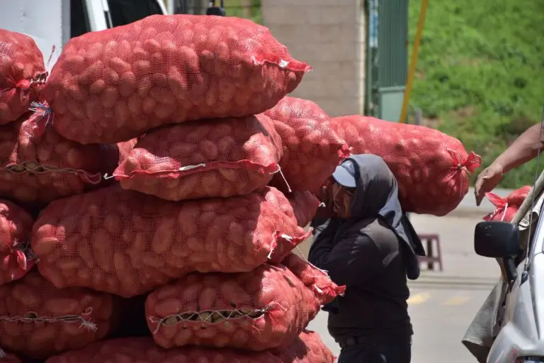 Costales llenos de papas son comprados o vendidos en el centro de mayoreo