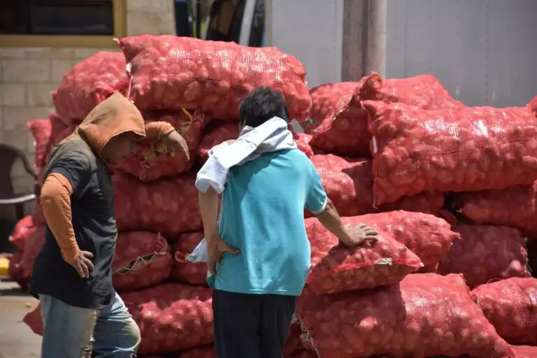 Trabajan mayormente hombres en la carga y descarga de costales