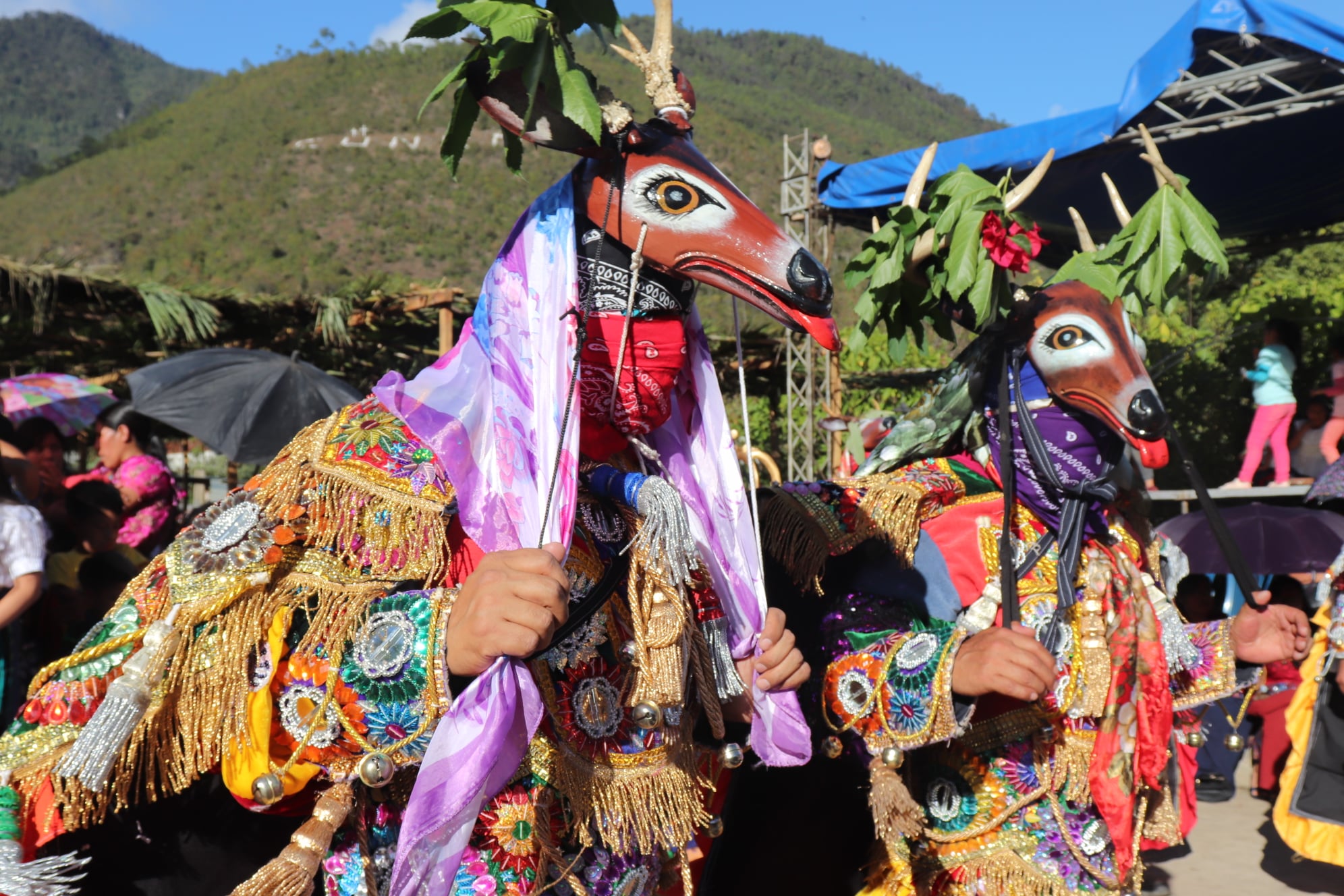 Danzas de Guatemala: El  Baile del Venado está en la memoria de muchos migrantes.