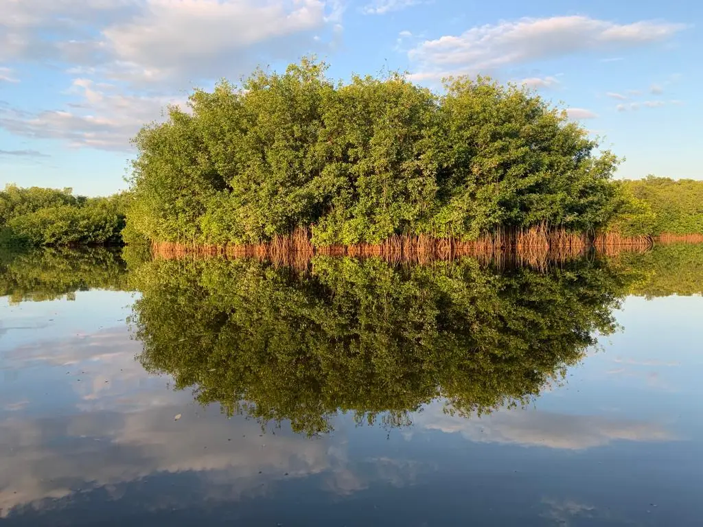 La reserva de manglar de Monterrico-Hawaii ese un ecosistema único en su tipo, con gran potencial turístico y ecológico. Fotografía: Hugo Navarro.