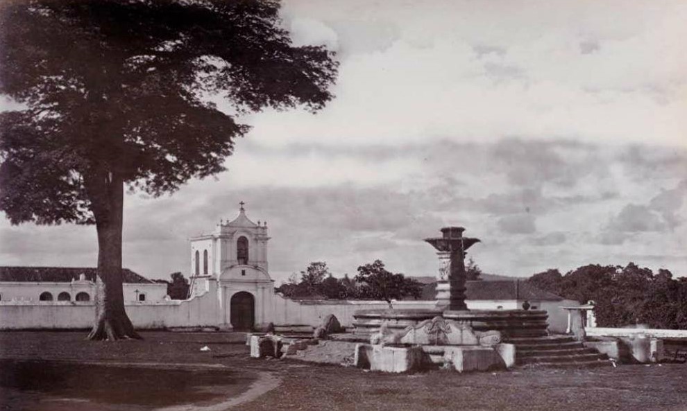 Ceiba en la entrada a Jocotenango, en las afueras de la ciudad capital de Guatemalaen 1870. Fotografías de Aedward Muybridge. – SoyMigrante.com – SoyMigrante.com