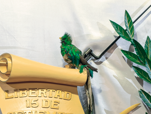 Un qjemplar de quetzal disecado se encuentra colocado sobre el pergamino. (Foto cortesía Ministerio de Cultura y Deportes)