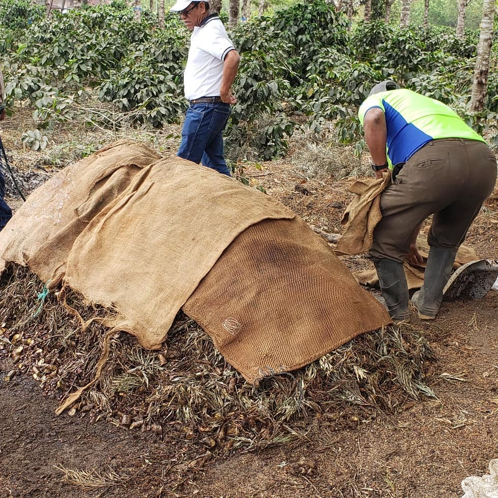 La capacitación en mejores prácticas de caficultura también forma parte del proyecto de Café Zamora. Aquí se prepara abono orgánico en Santa Rosa.