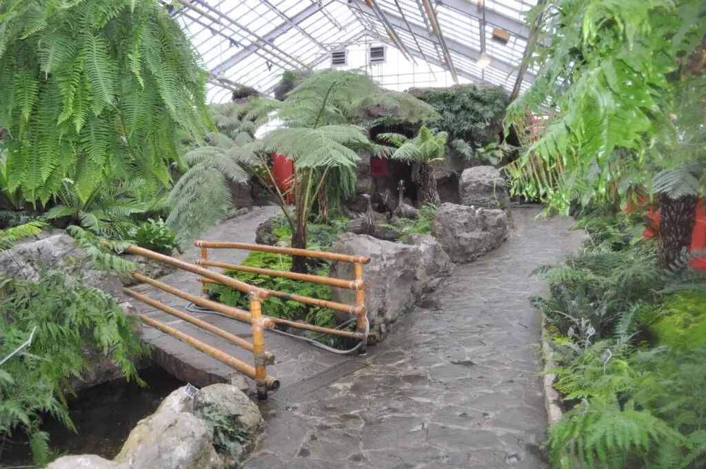 Áreas del jardín botánico de Montreal en cuyo diseño y construcción participó el arquitecto guatemalteco Carlos Martínez. Jardín de los Helechos