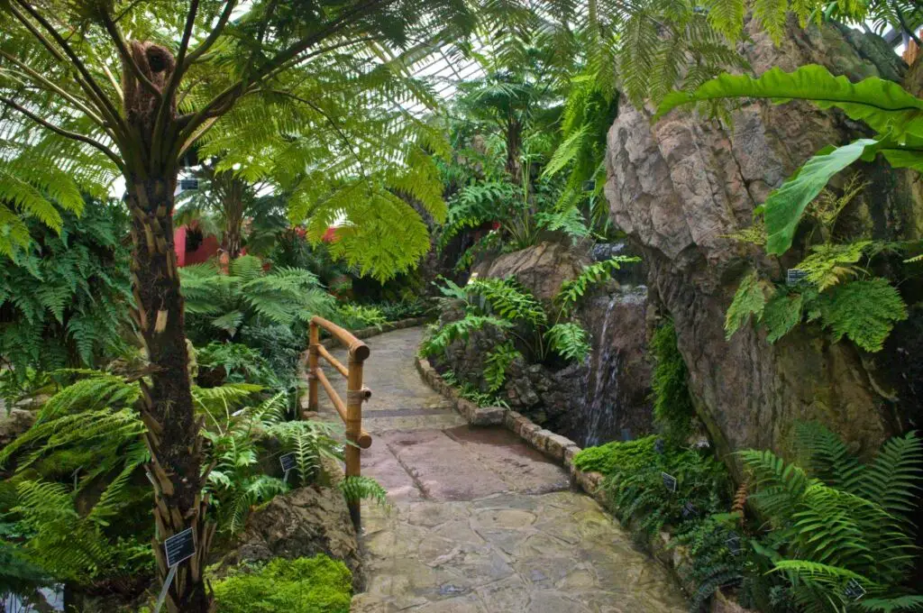 Áreas del jardín botánico de Montreal en cuyo diseño y construcción participó el arquitecto guatemalteco Carlos Martínez. Invernadero de plantas tropicales