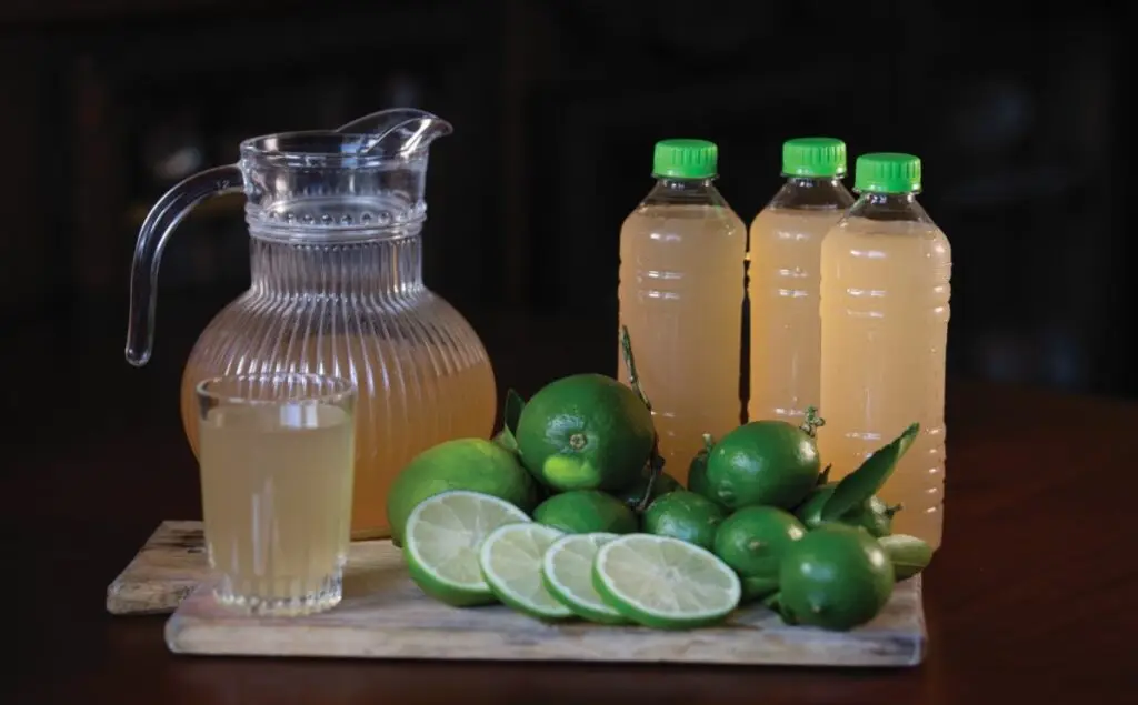 refresco de chinchivir es popular en Antigua, Guatemala. – SoyMigrante.com – SoyMigrante.com