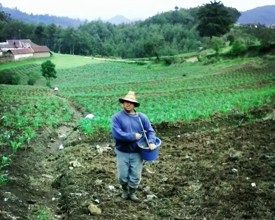 Los cinco años que pasó en Guatemala le sirvieron a Samuel Carrillo para valorar la vida de campo y las raíces de identidad guatemalteca. Aprendió a cultivar la tierra y su horizonte cultural se enriqueció.
