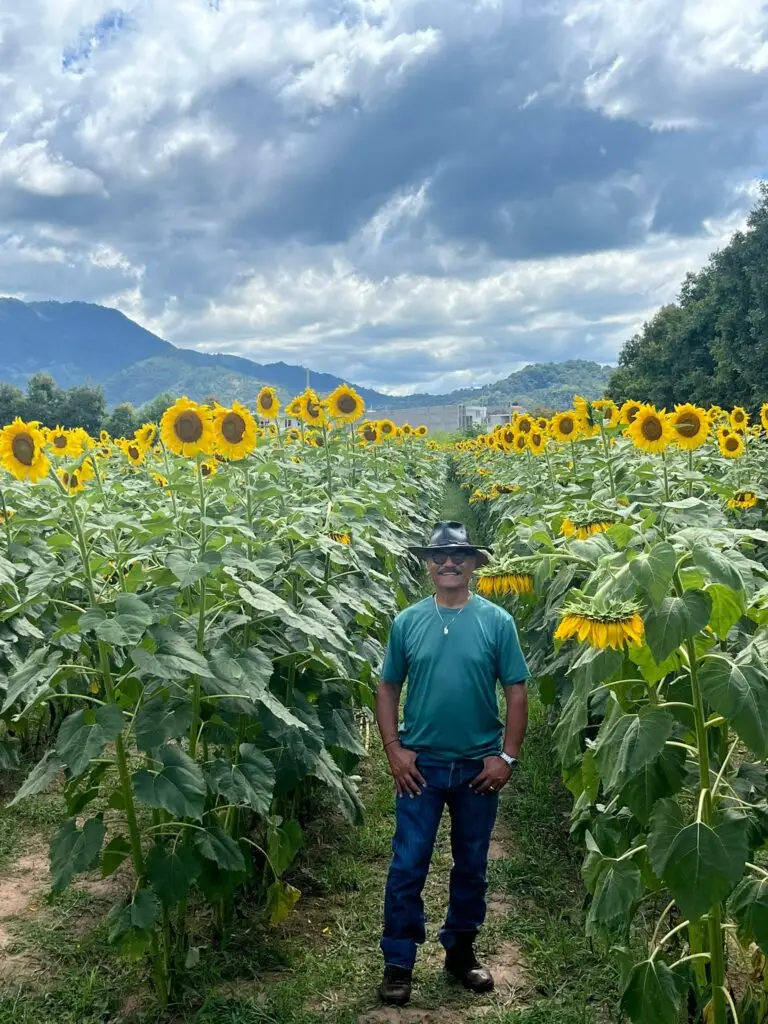 René visitando la finca de girasoles en Esquipulas