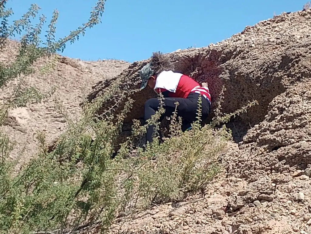 En ciertos resquicios del terreno, los voluntarios dejan agua, analgésicos y productos alimenticios secos, Esta zona desértica está distante de cualquier poblado. (Foto Red Migrante Guatemalteca) – SoyMigrante.com – SoyMigrante.com