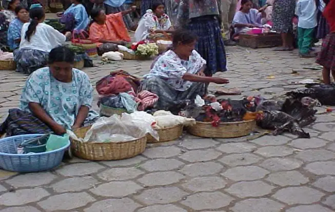 Mujeres poqomchi´ en un día de mercado. Foto: Máximo Abrahan Ba Tiul – SoyMigrante.com – SoyMigrante.com