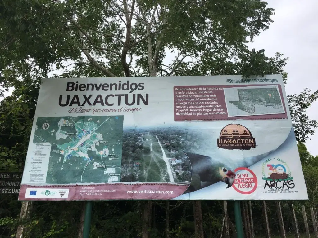 Uaxactún: La ciudad maya que sigue viva en la selva – SoyMigrante.com – SoyMigrante.com