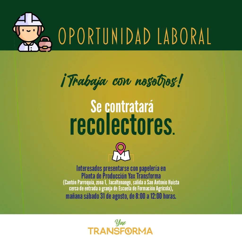 Yax Transforma es una cooperativa que colecta plásticos, limpia el medio ambiente y convierte dicho material en objetos utilitarios. Sus accesorios además reducen la tala de árboles. Es un proyecto visionario impulsado por un guatemalteco desde Jacaltenango.